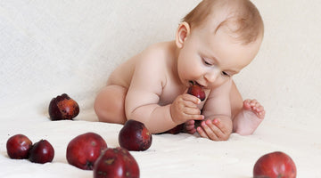 5 Benefits of Baby-Led Weaning that You Should Know