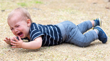 8 Reasons Why Your Toddler is Throwing a Temper Tantrum